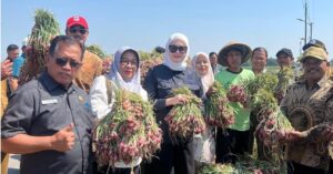 1_Bawang
