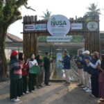 1_NUsa
